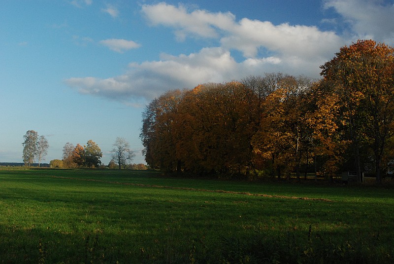 DSC_0134.JPG