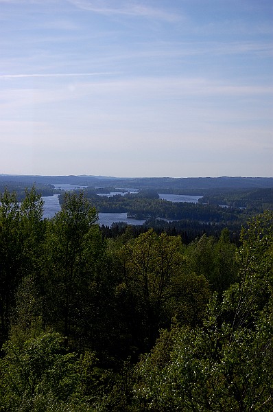 DSC_0245.JPG