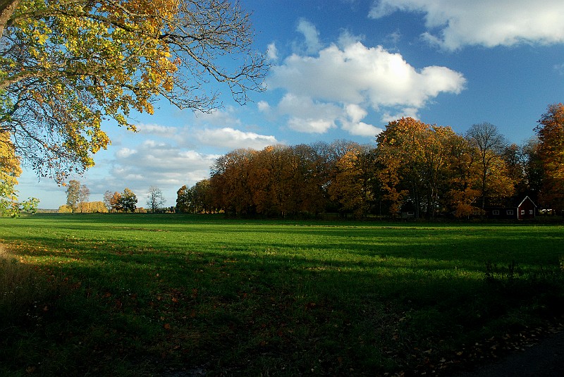 DSC_0278.JPG
