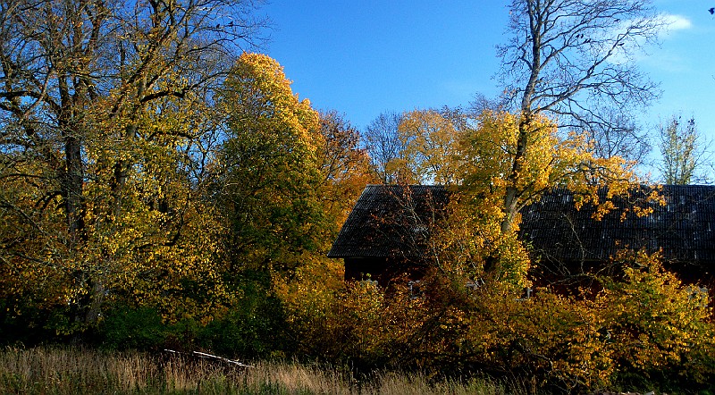 DSC_03001.jpg