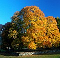 DSC0065