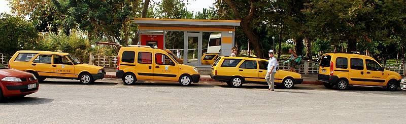 DSC_0376_1.jpg