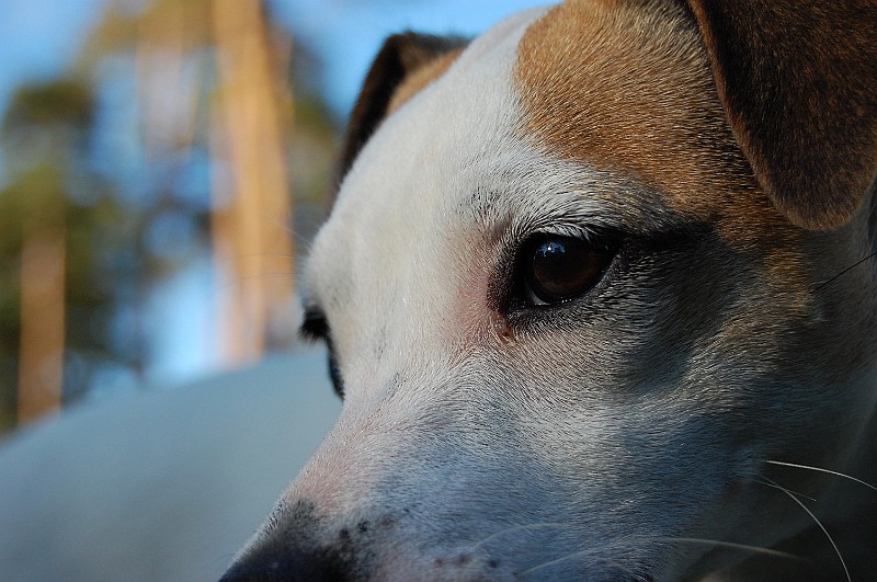 DSC_0003.JPG