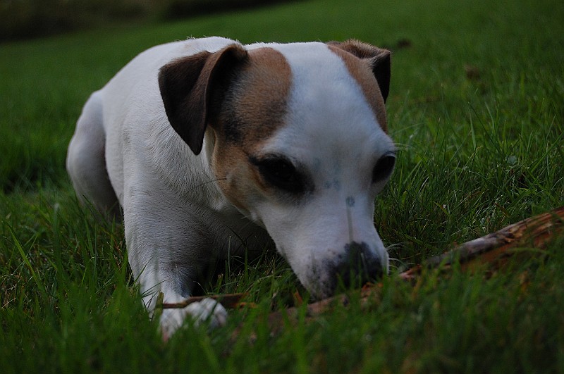 DSC_0027.JPG