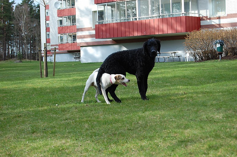 DSC_0064.JPG