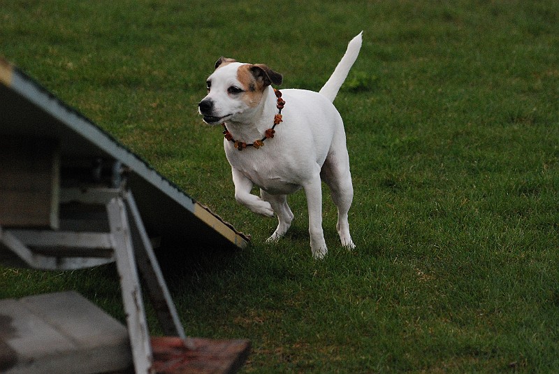 DSC_0403.JPG