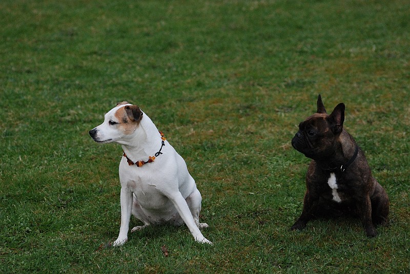 DSC_0485.JPG