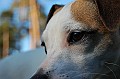 DSC_0003