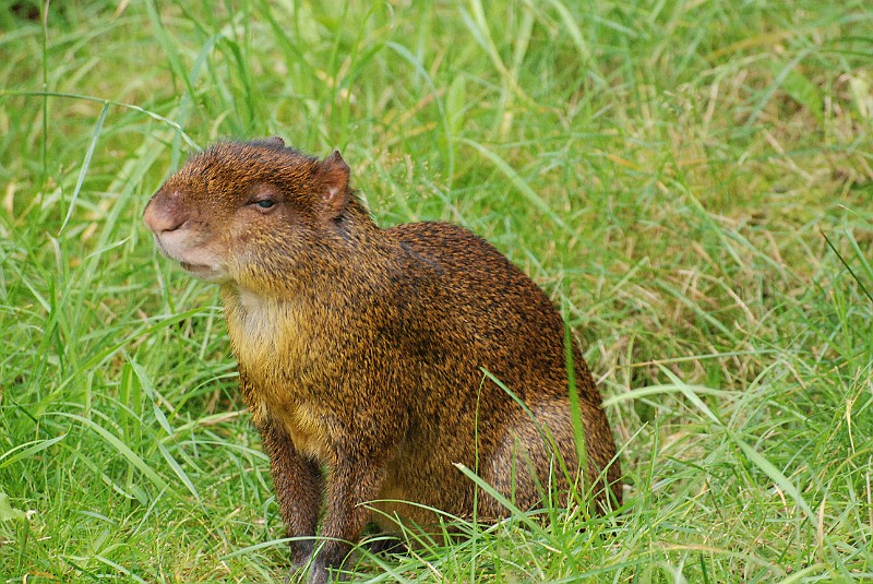 DSC_0842.JPG