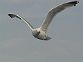 P8020032