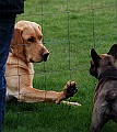 DSC_0461_