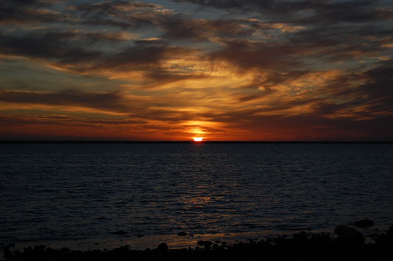 DSC_0297.JPG